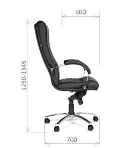 Офисное кресло CHAIRMAN 480 Экокожа премиум черная в Тамбове - предосмотр 2